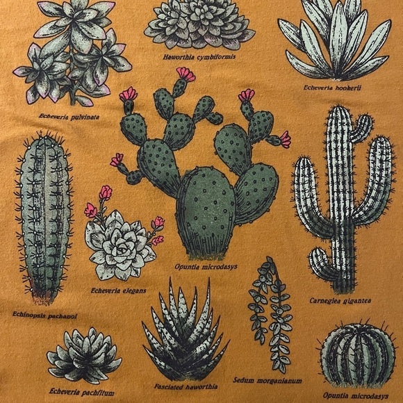 FIFTH SUN WOMENS CUTE CACTUS SHORT SLEEVE T-SHIRT SIZE XXL - Picture 8 of 8